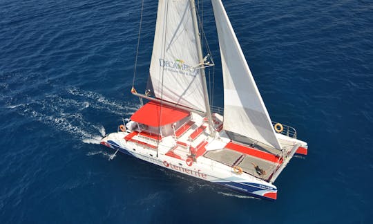 Private Eco Catamaran Rental in Costa Adeje (Tenerife)