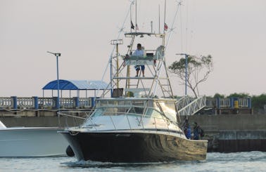 Full-Day Offshore Fishing Charter in Quepos - 38' Bertram Express Sportfisher for up to 8 people!