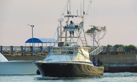 Full-Day Offshore Fishing Charter in Quepos - 38' Bertram Express Sportfisher for up to 8 people!