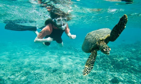 オマーンのマスカットでの超特別な海の旅