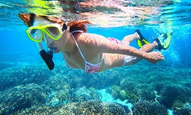 Excursion en mer super spéciale à Muscat, Oman