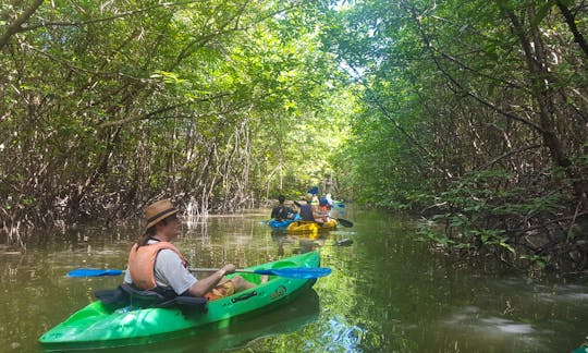 Kayaking deep in the Khao Lak mangroves