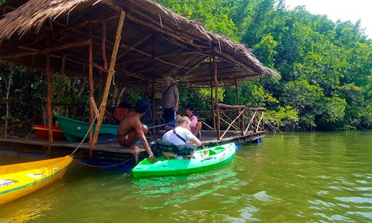 Our floating mangrove base is the perfect place to escape the world and relax