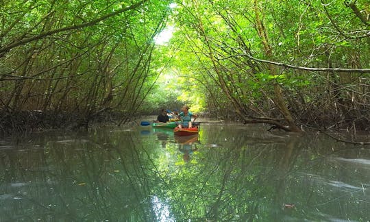 Khao Lak Mangrove Explorers by Discovery Travel