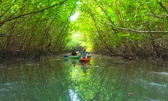 Khao Lak Mangrove Explorers - Kayaking in Khao Lak