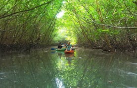 Khao Lak Mangrove Explorers - Kayaking in Khao Lak