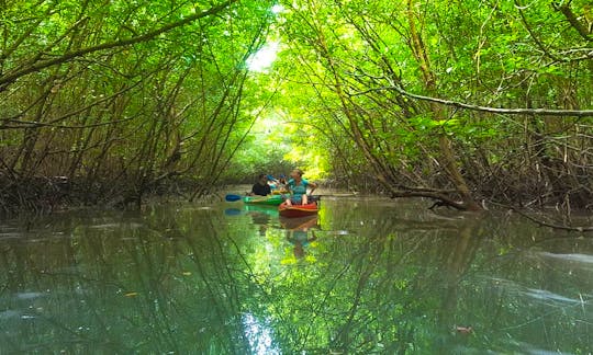 Khao Lak Mangrove Explorers by Discovery Travel