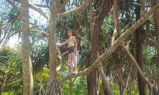 A child climbing trees on Khao Na Yak Beach