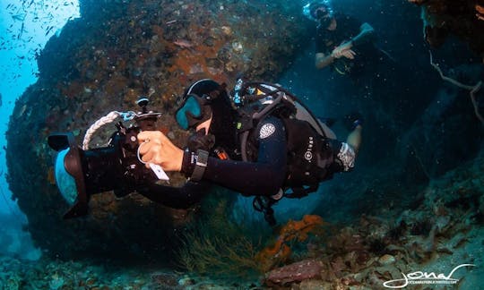 Fun Dives for Certified Divers or Scuba Diving Courses in Tambon Ko Tao