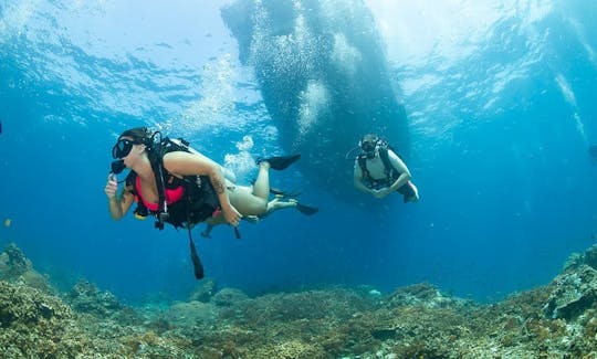 Fun Dives for Certified Divers or Scuba Diving Courses in Tambon Ko Tao