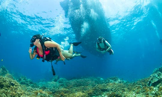Fun Dives for Certified Divers or Scuba Diving Courses in Tambon Ko Tao