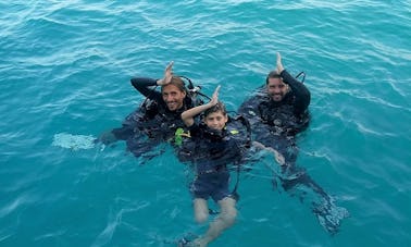 Book the Diving in  Koh Tao