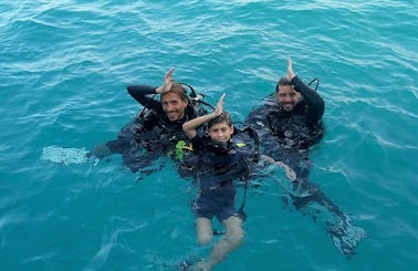 Book the Diving in  Koh Tao