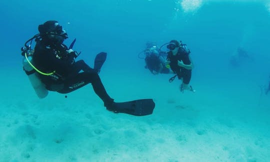 Reserva el buceo en Koh Tao