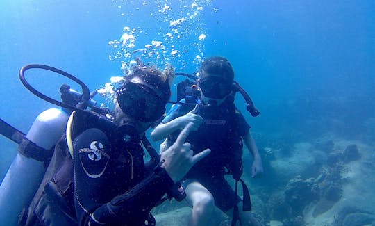 Reserva el buceo en Koh Tao