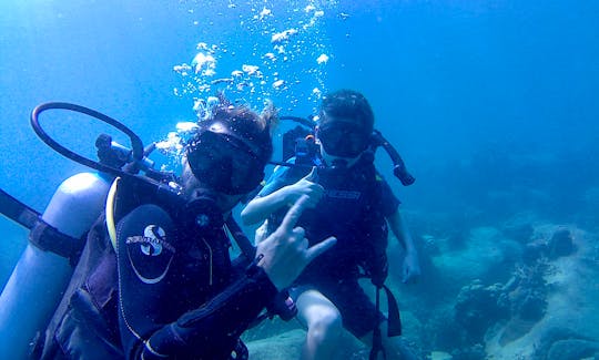 Book the Diving in  Koh Tao