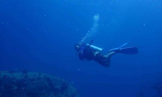 Reserva el buceo en Koh Tao