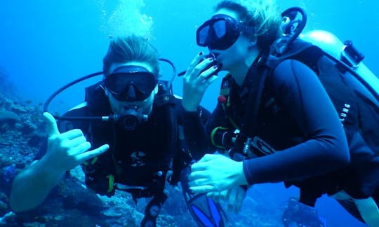 Mergulho divertido incrível em Nusapenida, Bali