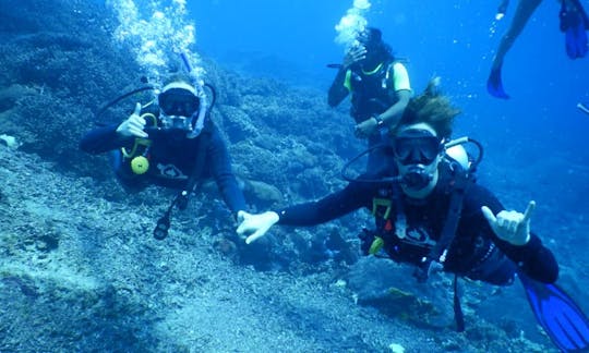 Mergulho divertido incrível em Nusapenida, Bali