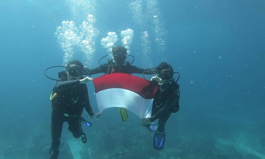 Amazing Fun Dive in Nusapenida, Bali