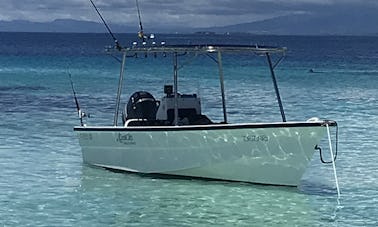 Bateau à console centrale de 24 pieds. Transferts entre les îles, surf, plongée avec tuba, paysages pittoresques.