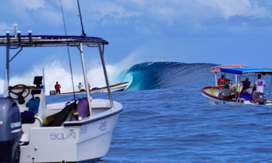 Surf charters.