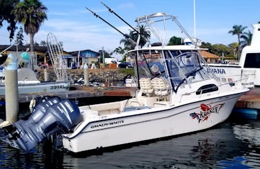 29 ft Grady White with Tuna tower. Great for chasing big fish offshore and near shore fishing.