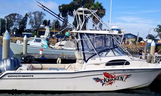 29 ft Grady white with tuna tower 