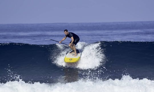 1 semaine de surf en SUP à Nosara, au Costa Rica ! - Les voyageurs seuls, les groupes, les couples et les partenaires non surfeurs sont les bienvenus !