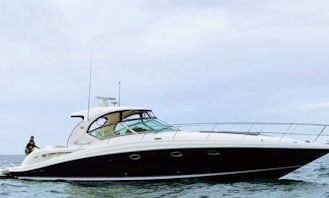 Searay 42 Motor Yacht Charter for 8 Person in Miami, Florida!