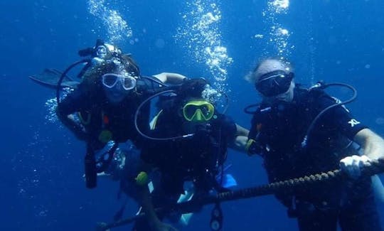 Enjoy a Fun Diving in Tambon Ko Tao, Wat Surat Thani