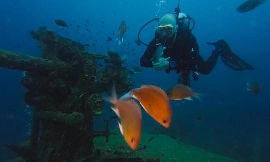 タンボンコタオ、ワットスラタニで楽しいダイビングをお楽しみください