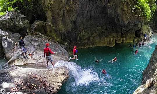 Whale Shark + Canyoneering Kawasan Falls Tour in Cebu