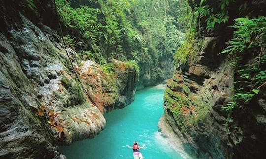 Whale Shark + Canyoneering Kawasan Falls Tour in Cebu