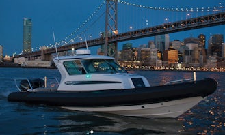 28' Protector RIB with twin engine for rent with Captain in Sacramento