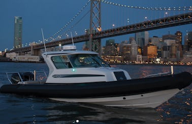28' Protector RIB with twin engine for rent with Captain in Sacramento