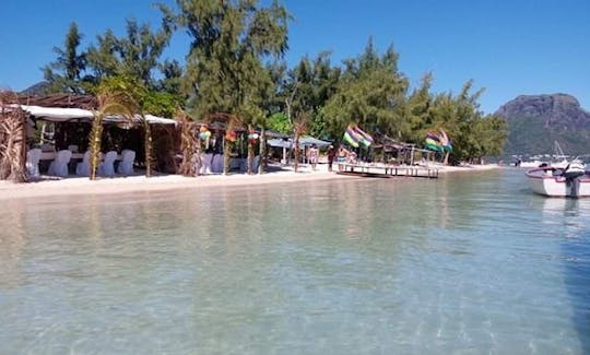 Dolphing watching,,tubing,,trip around the island