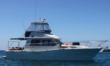 Charter Steber 36 Motor Yacht in Perth, Australia