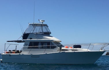 Charter Steber 36 Motor Yacht in Perth, Australia