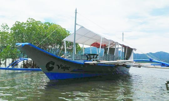 Dolphino Island Cruise