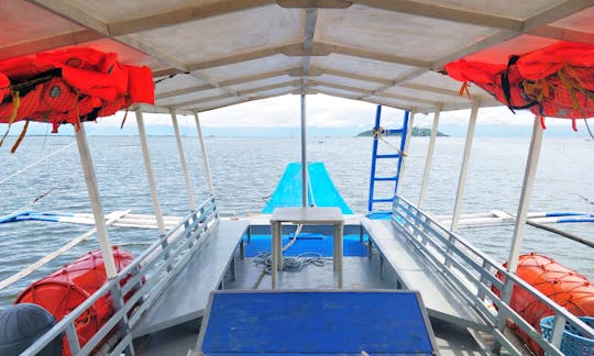 Dolphino Island Cruise