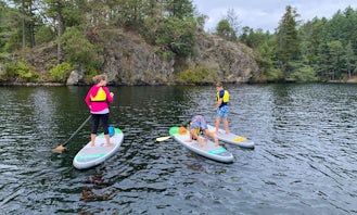 Stand Up Paddleboard Rental in Victoria, BC