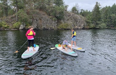 Stand Up Paddleboard Rental in Victoria, BC