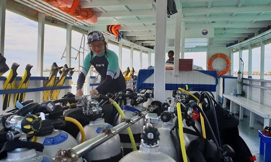 Scuba Diving in Guraidhoo, the Maldives!