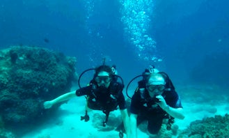 Bali - Padang Bai trip for Certified Diver!