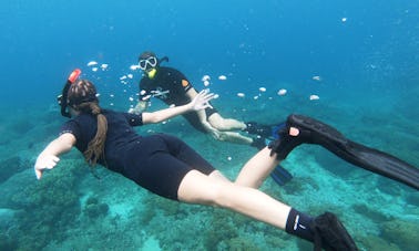 Bali: viaje de esnórquel en Padang Bai con Bali Diving