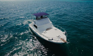 Charter the 35' Bertram/Criscraft  Sport fisher boat in Cancún
