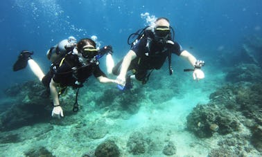 Prueba el buceo en Padang Bai, Bali