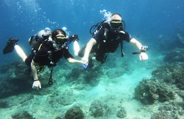 Try Scuba Diving at Padang Bai, Bali