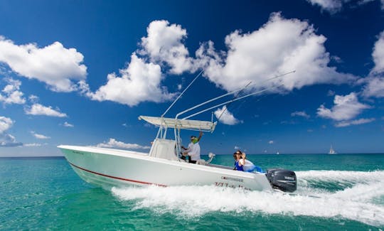 Private 28 feet boat  Natural Pool SAONA or Catalina Island